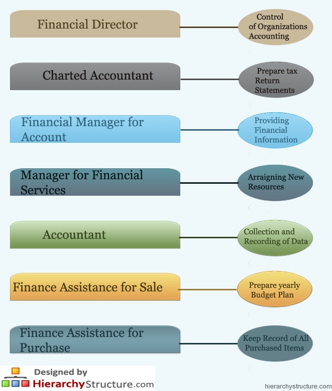 Financial Department Hierarchy