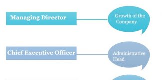 Career Hierarchy | Career Path,choices And Options Hierarchy