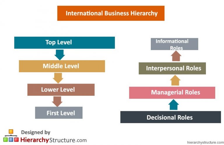 International Business Hierarchy