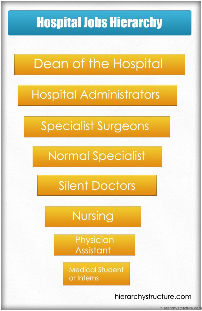 Hospital Jobs Hierarchy