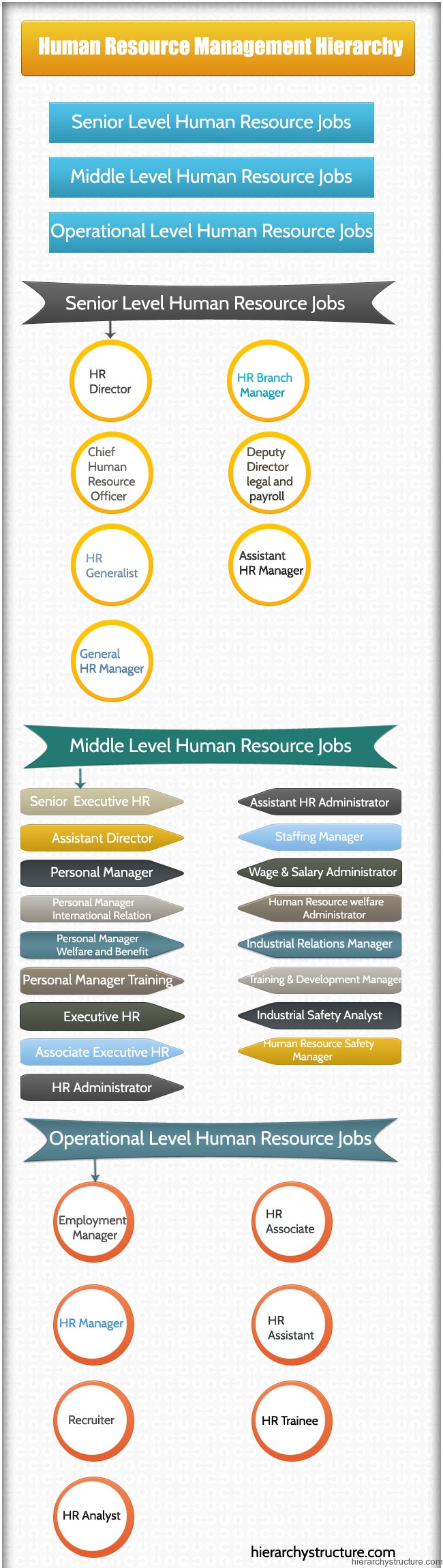 Human Resource Management Hierarchy