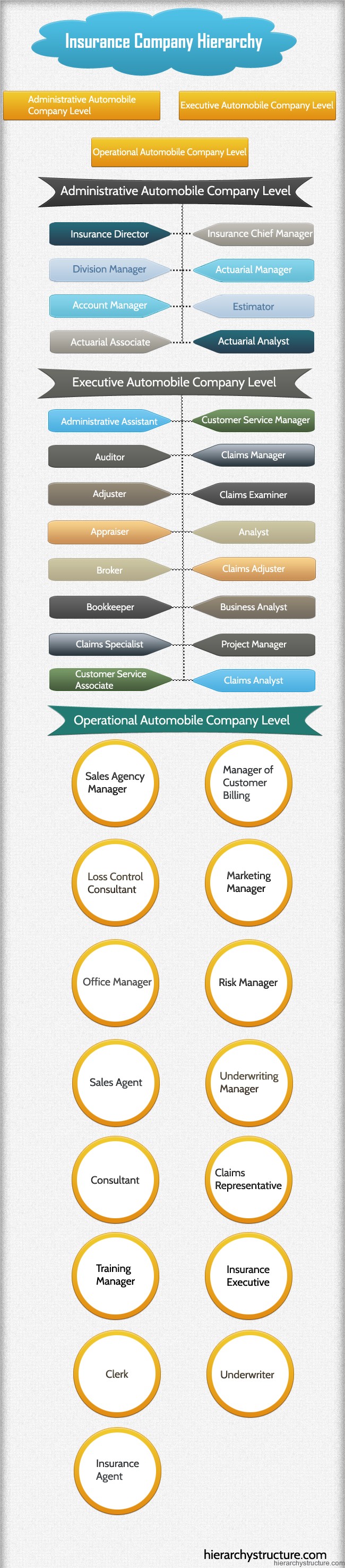 Insurance Company Hierarchy