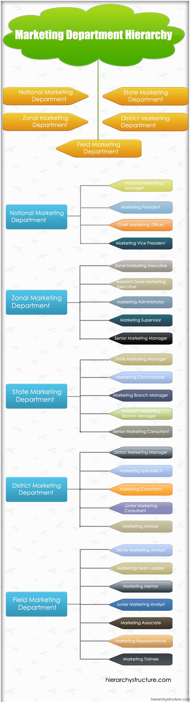 Marketing Department Hierarchy