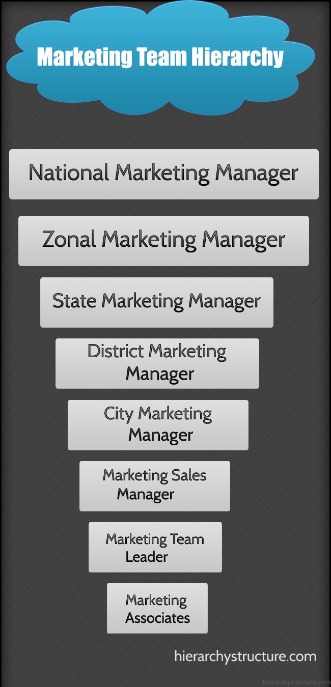 Marketing Team Hierarchy