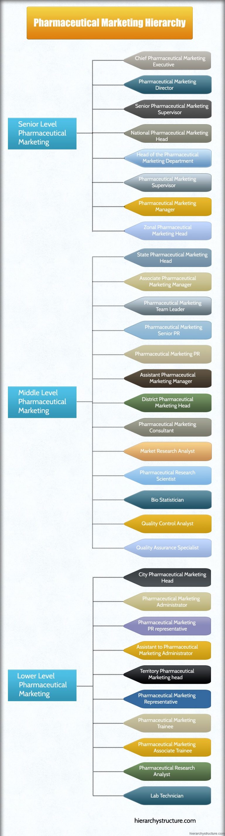 Pharmaceutical Marketing Hierarchy