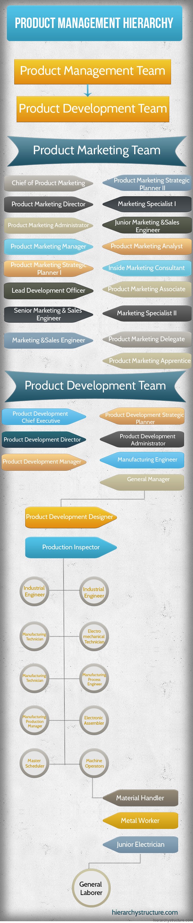 Product Management Hierarchy