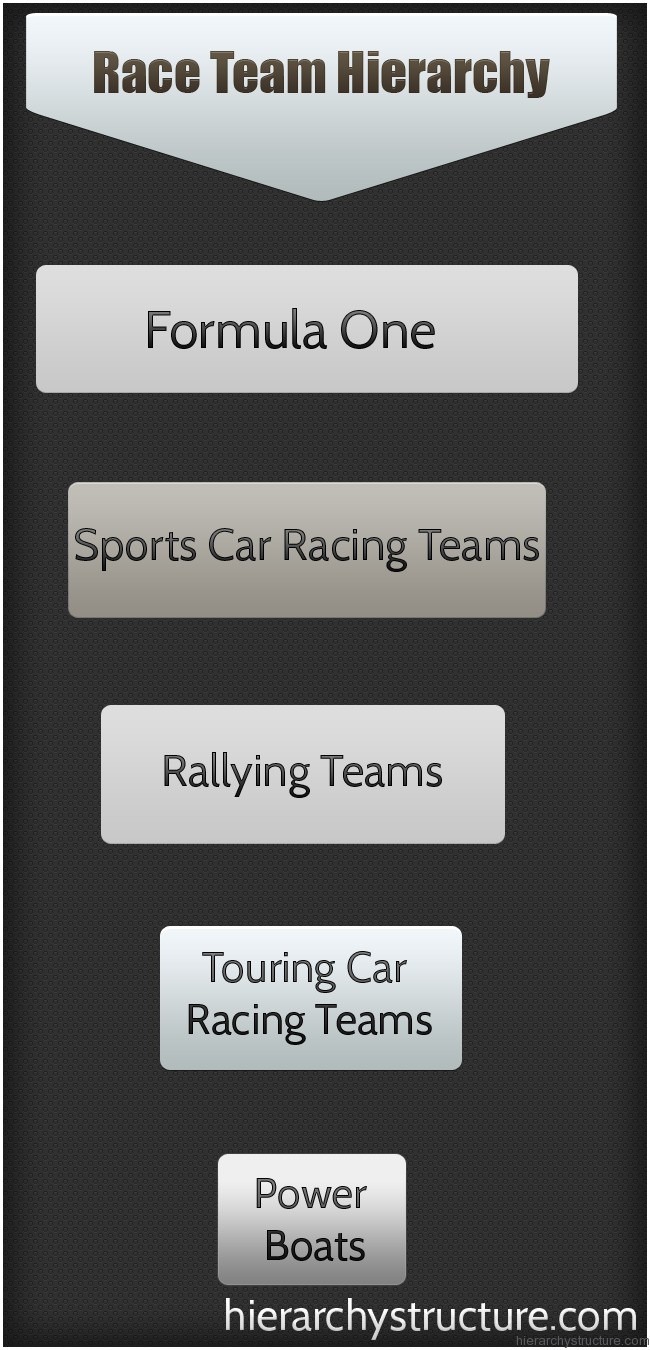 Race Team Hierarchy