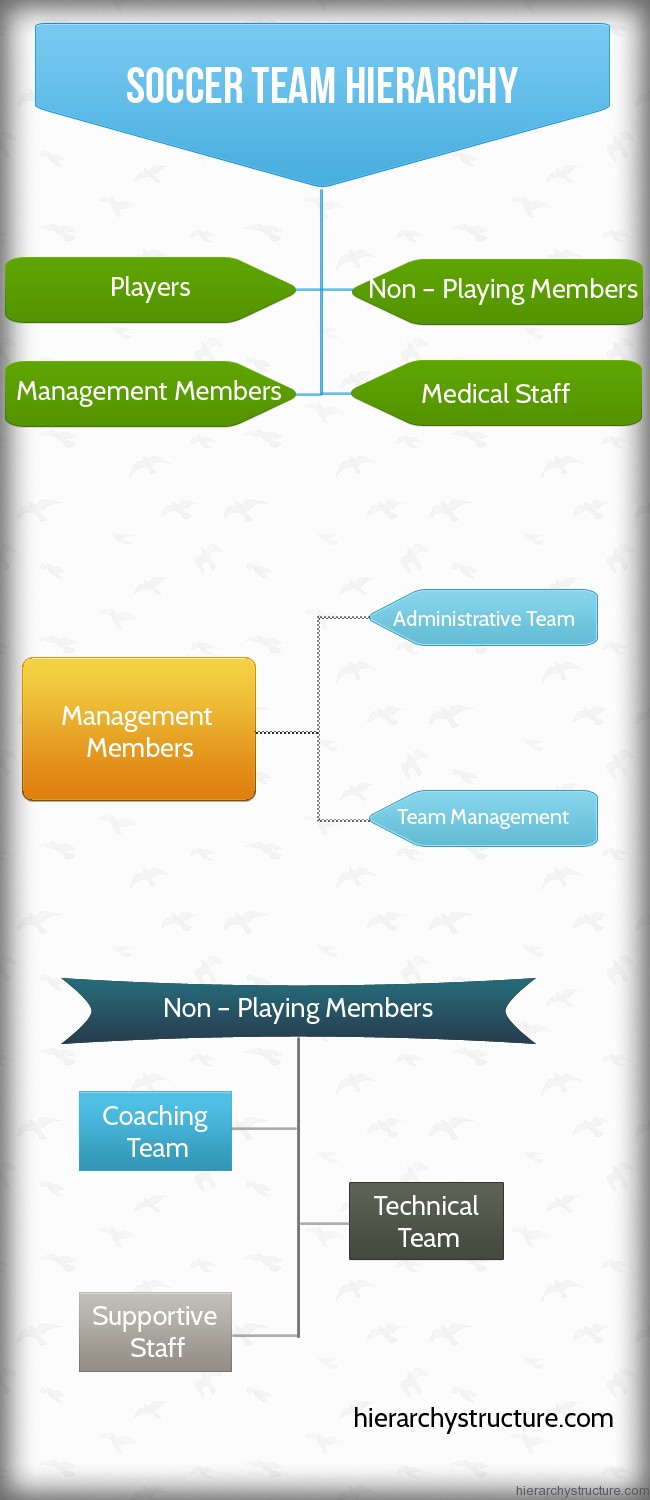 Soccer Team Hierarchy