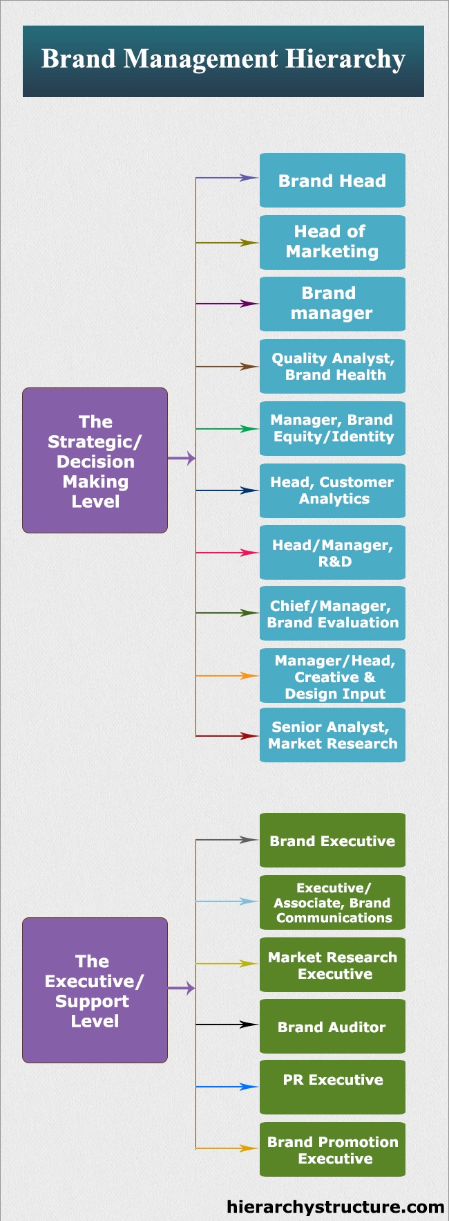 Brand Management Hierarchy