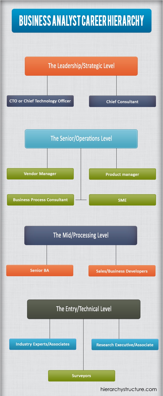 Business Analyst Career Hierarchy Career Path System