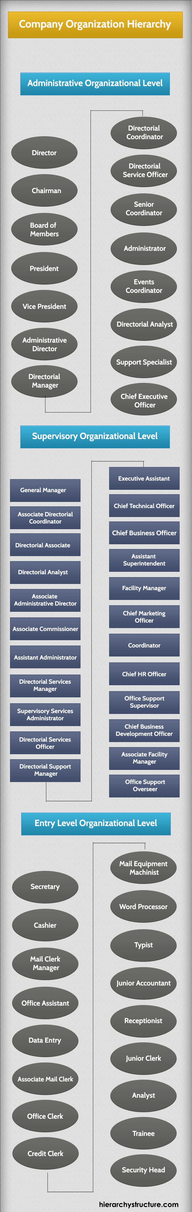 Company Organization Hierarchy
