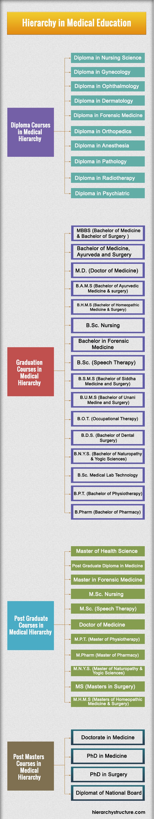 Hierarchy in Medical Education