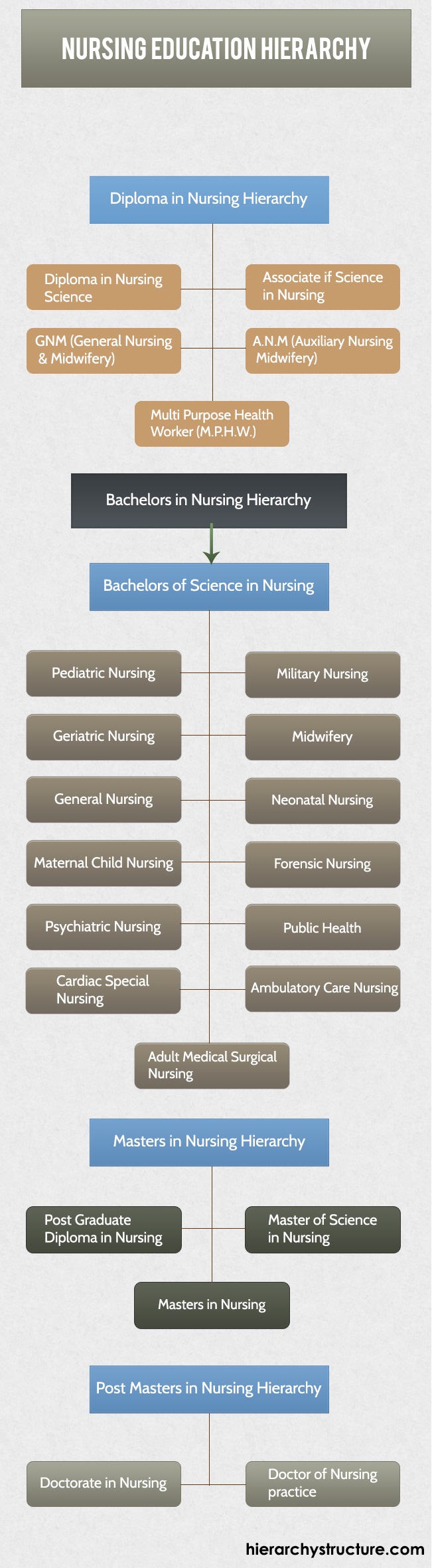 Nursing Education Hierarchy