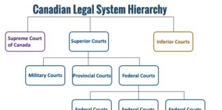 Hierarchical Charts & Systems | Hierarchystructure.com