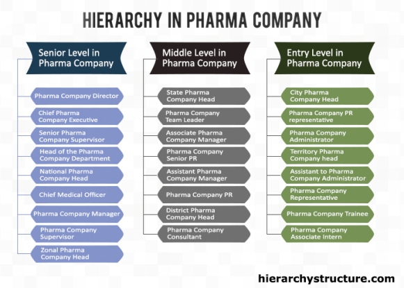 Hierarchy in Pharma Company