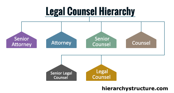 Legal Counsel Hierarchy