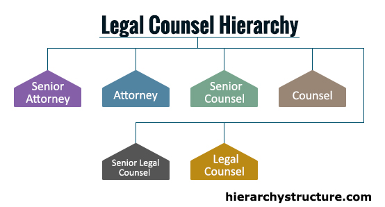 Legal Counsel Hierarchy Hierarchical Structures And Charts