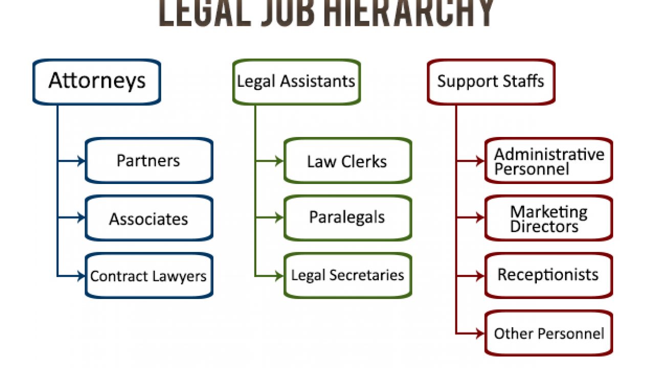 Legal Job Hierarchy Chart Hierarchystructure Com