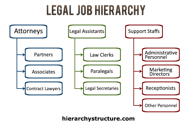Legal Job Hierarchy