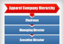 Software Company Professionals Hierarchy Chart | Hierarchy