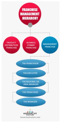 Franchise Management Structure Hierarchy | Hierarchy Structure