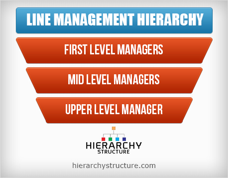 Line Management Hierarchy