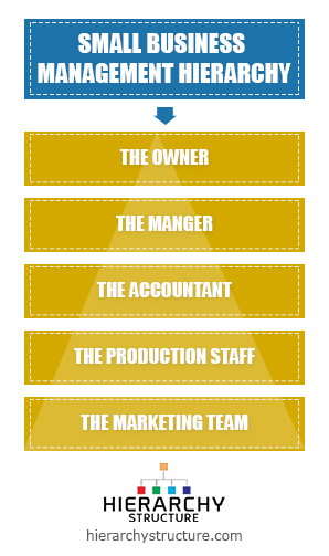 Small Business Management Hierarchy