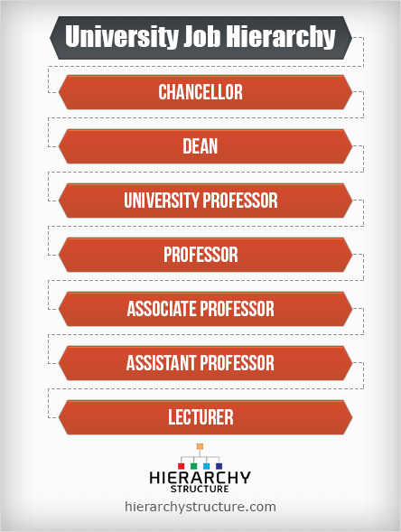 University Job Hierarchy