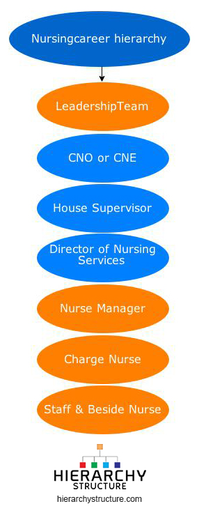 Nursing Career Hierarchy