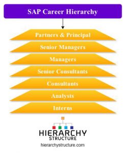 SAP CAREER PATHS visual data 7