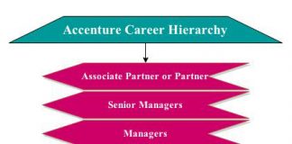 Career Hierarchy | Career path,choices and options hierarchy