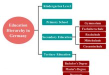 Education System Hierarchy