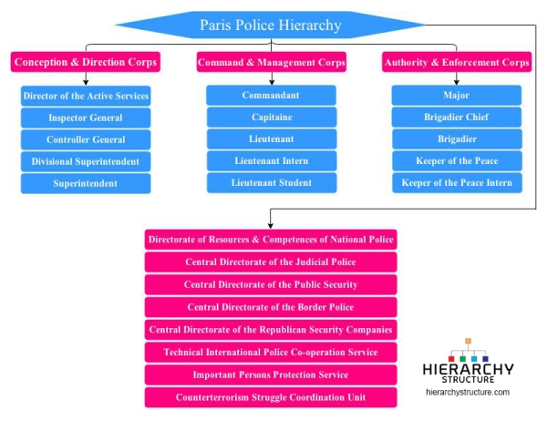 Hierarchy of French Police System  Hierarchy Structure