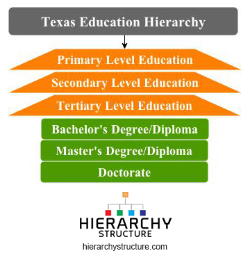 Texas Education Hierarchy