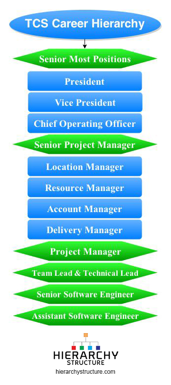 TCS Career Hierarchy