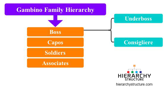 Gambino Family Hierarchy