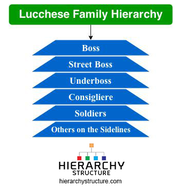Lucchese Family Hierarchy