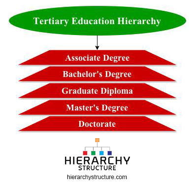 Tertiary Education Hierarchy