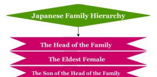 Family Hierarchy | Family tree Hierarchy Chart | Hierarchystructure