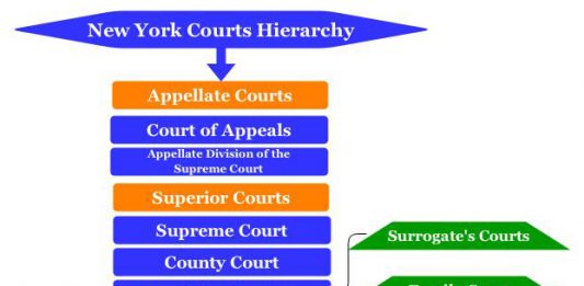 Courts Hierarchy Archives - Hierarchy Structure