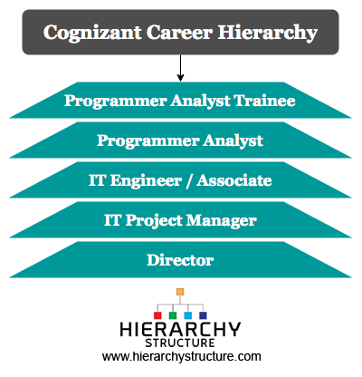 Cognizant Career Hierarchy Chart | Hierarchystructure.com