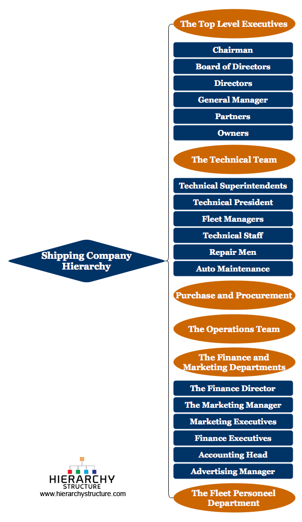 Shipping Company Hierarchy