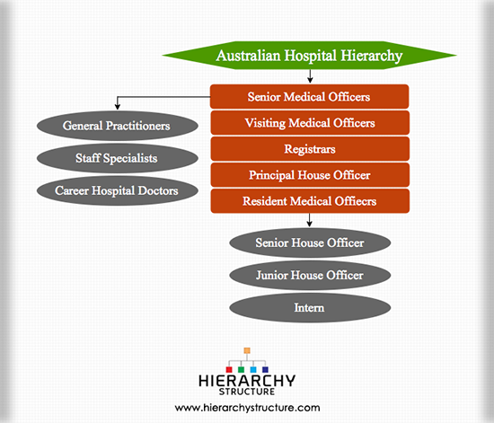 Australian Hospital Hierarchy