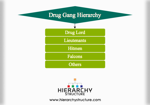Drug Gang Hierarchy