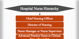 hierarchy hospital nurse tag