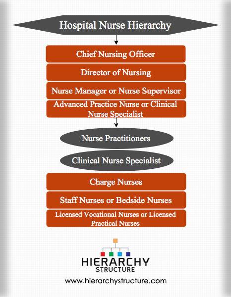 Hospital Nurse Hierarchy