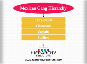 mexican gang essay