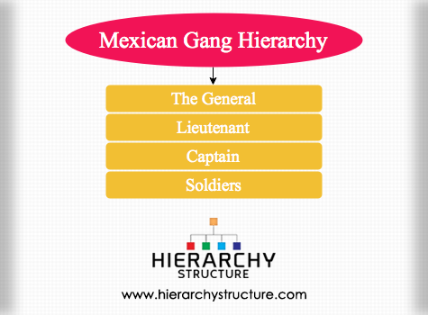 Mexican Gang Hierarchy