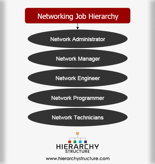 Networking Job Hierarchy