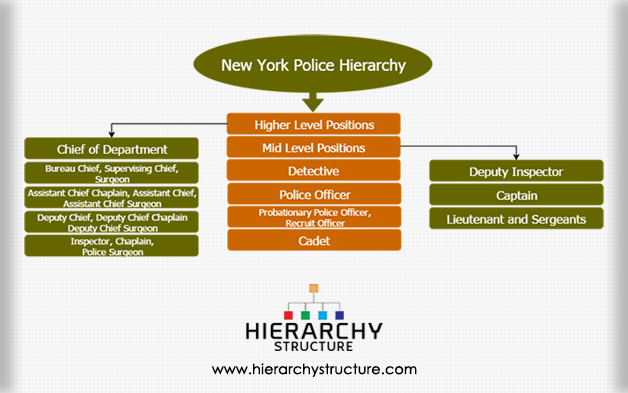 New York Police Hierarchy